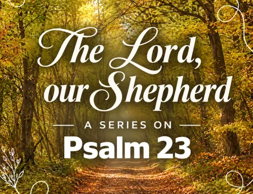 Psalm 23:6 – His Promise